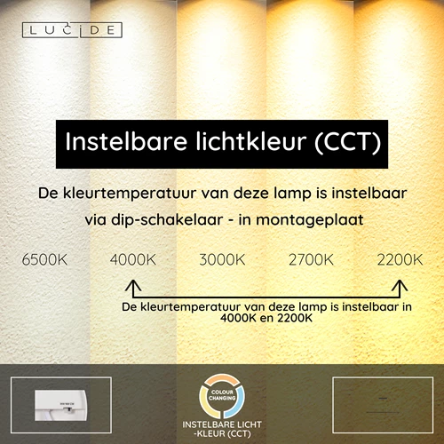 Lucide FELSTED - Hanglamp - LED Dimb. - CCT - 1x28W 2200K/4000K - Zwart | Vibes - USP